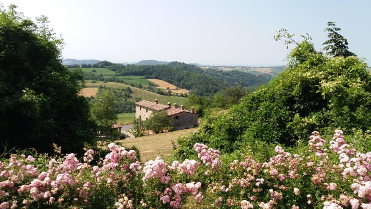 Ca' Noeva Bed and Breakfast Valverde  Εξωτερικό φωτογραφία